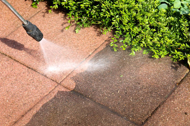 Best Pressure Washing Driveway  in USA